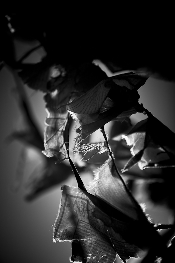 kangding (1 of 1)-13