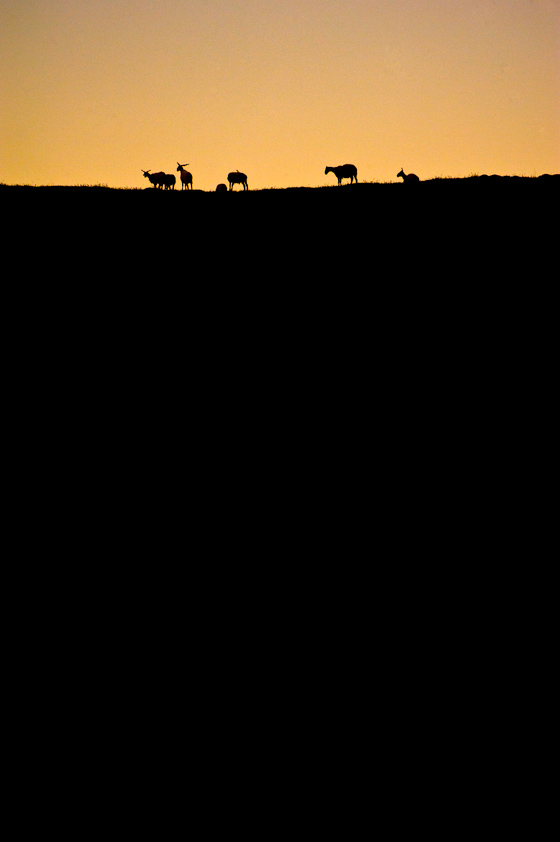 Grasslands-Gangjia2011-63-of-176-Edit
