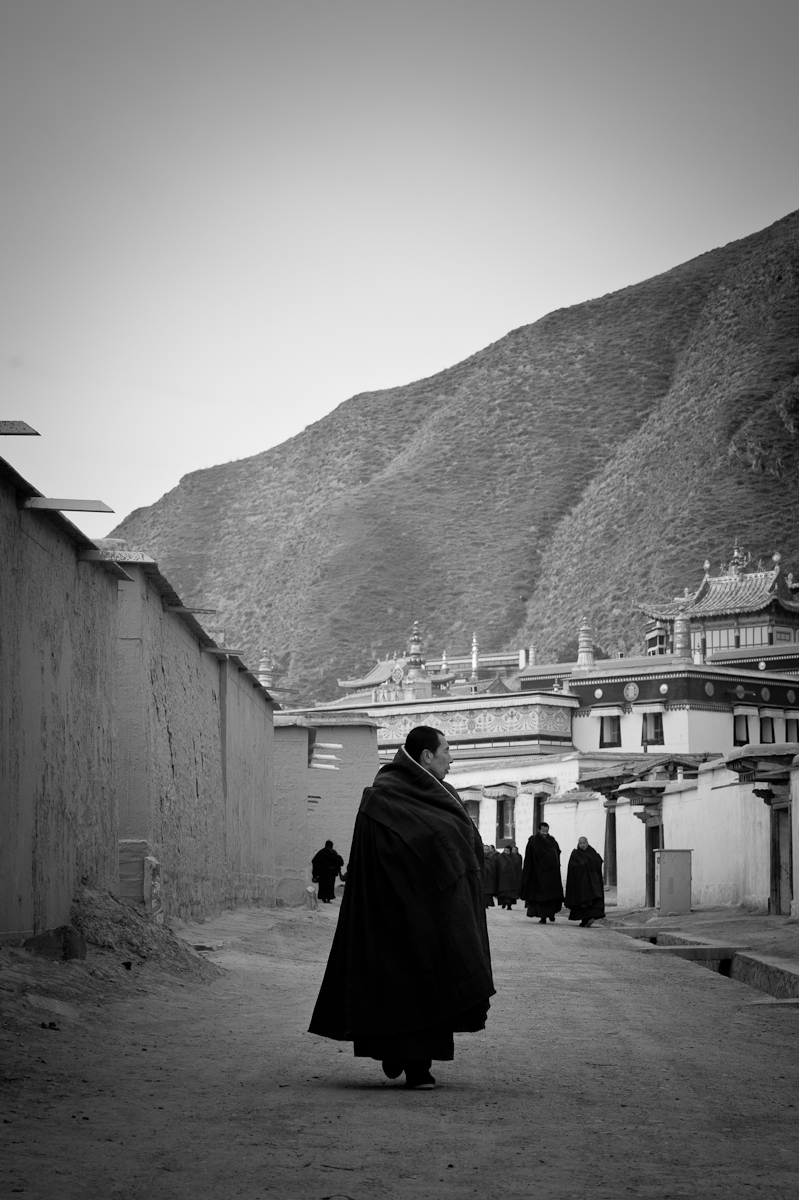 amdo (1 of 1)-12